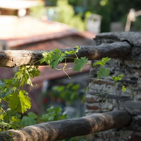 Apartamento Cosy In - 45 Sqm - Fireplace