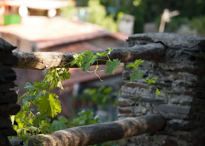 Appartamento Cosy In - 45 Sqm - Fireplace